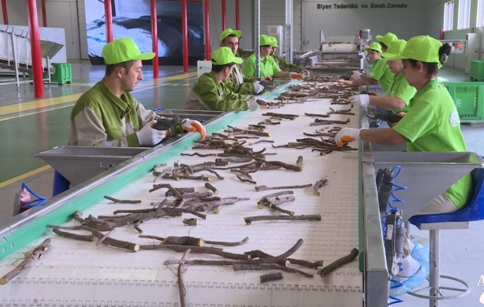 Ağdaşda emal edilən məhsulların “Made in Azerbaijan” brendi ilə xaricə ixracı planlaşdırılır   Biyan Sənaye Parkından REPORTAJ