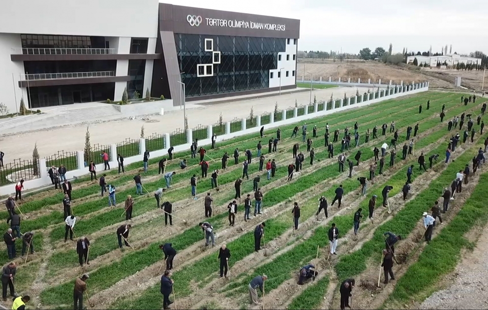 Tərtərlilər ölkəmizdə bir gündə 650 min ağac əkilməsi təşəbbüsünə həvəslə qoşulublar