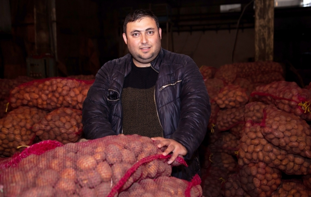 Fermerdən 20 ton kartof məhsulu alındı