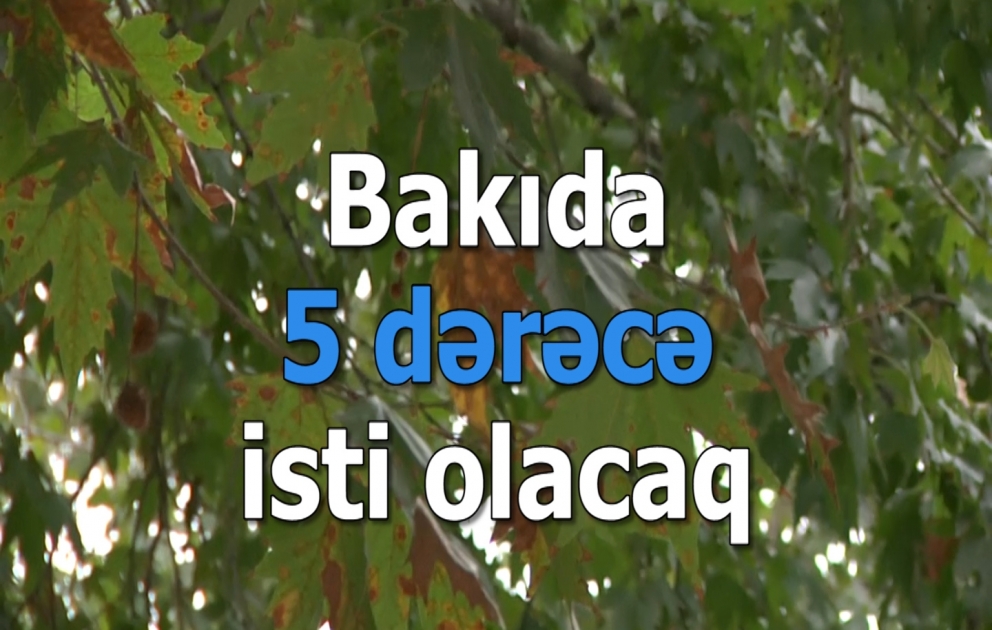 Bakıda 5 dərəcə isti olacaq