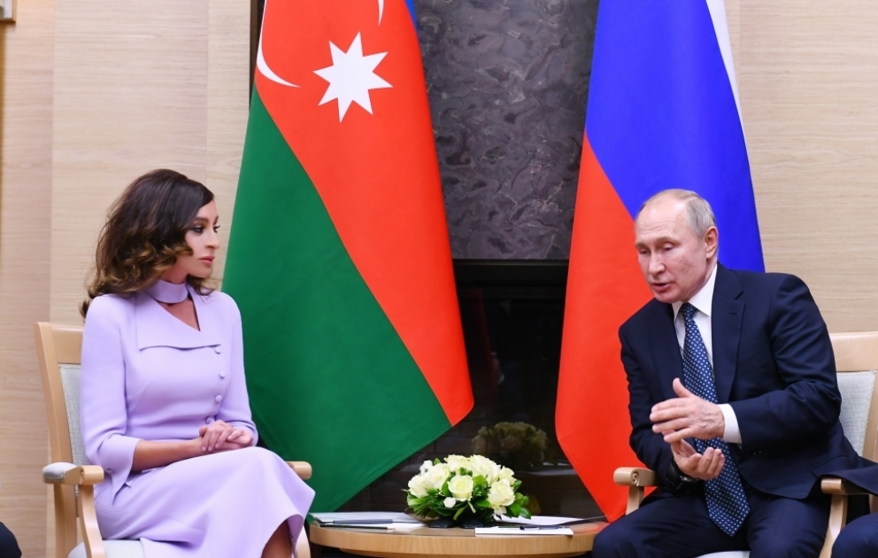 First Vice-President Mehriban Aliyeva met with Russian President Vladimir Putin