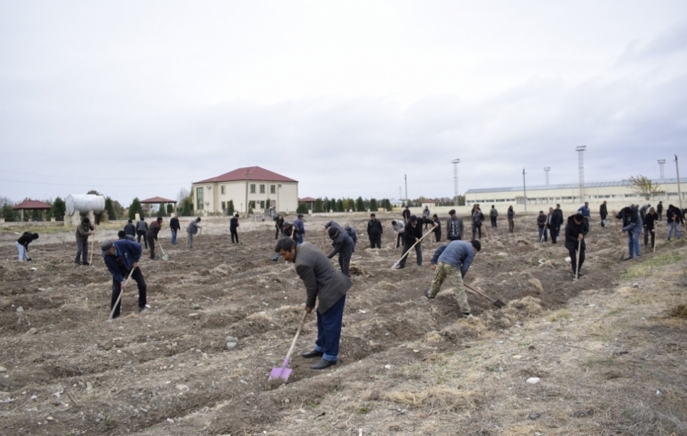 650 min ağac əkək: Füzuli rayonunda ağac əkiləcək ərazilər müəyyənləşdirilib