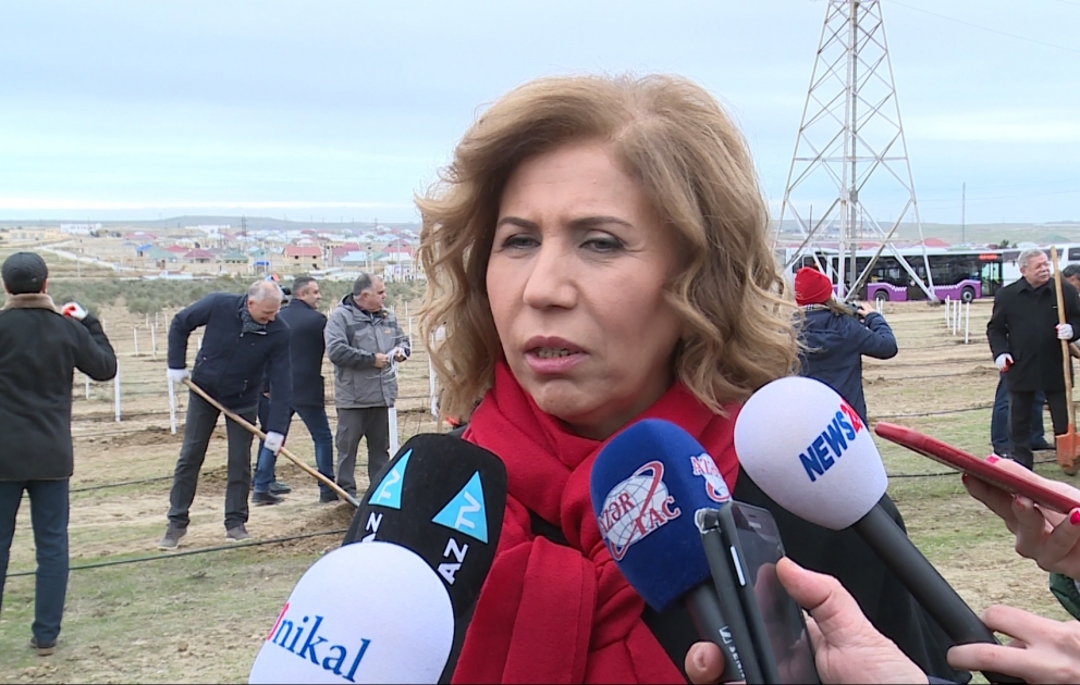 Bahar Muradova: Bu təşəbbüs torpağımızın yaşıllaşmasına, ekologiyanın sağlamlaşmasına çox böyük töhfədir