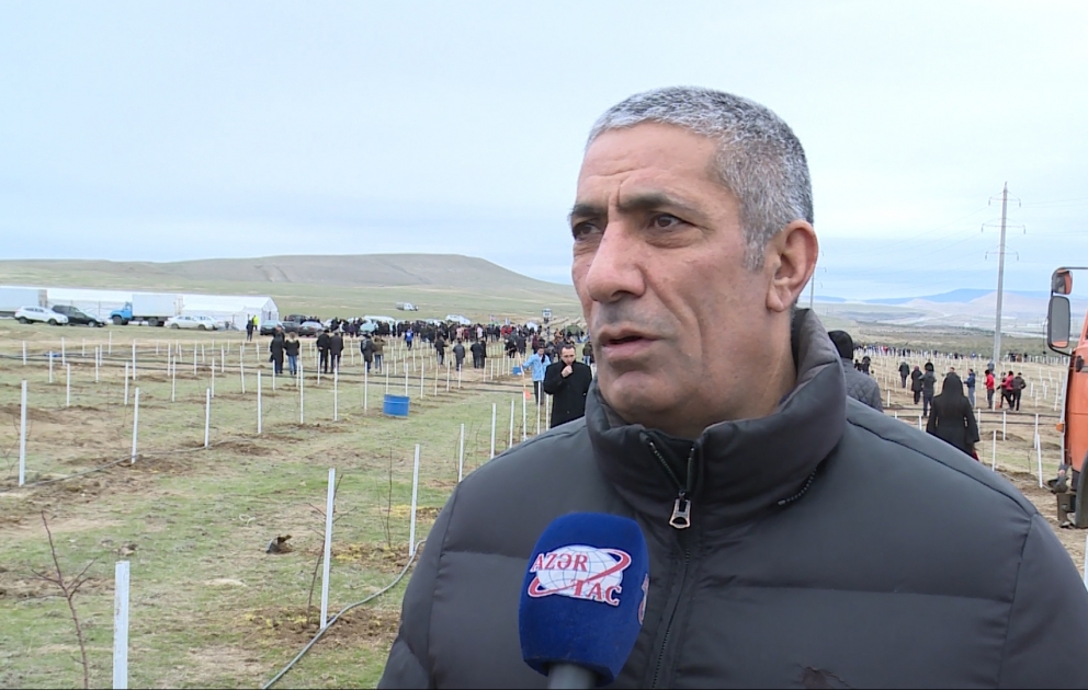 Bir gündə 650 min ağacın əkilməsi ölkənin ekologiyası üçün gözəl layihələrdən biridir
