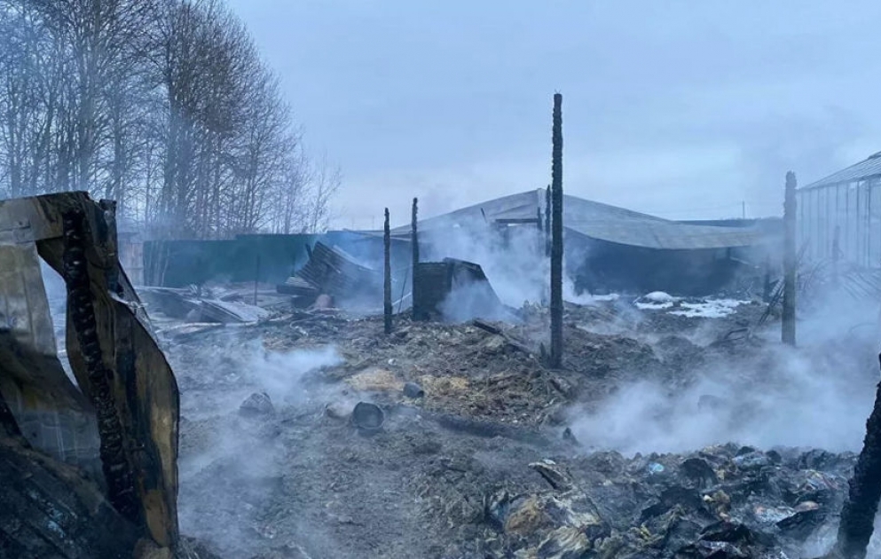 Восемь человек погибли при пожаре в бытовках в Подмосковье