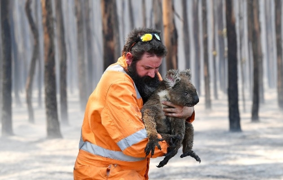 Over 1 billion animals feared dead in Australian wildfires