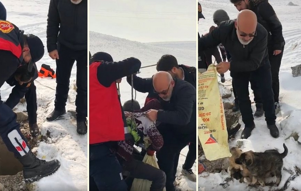 Torbaya qoyularaq bir quyuya atılan köpək balaları belə xilas edildi