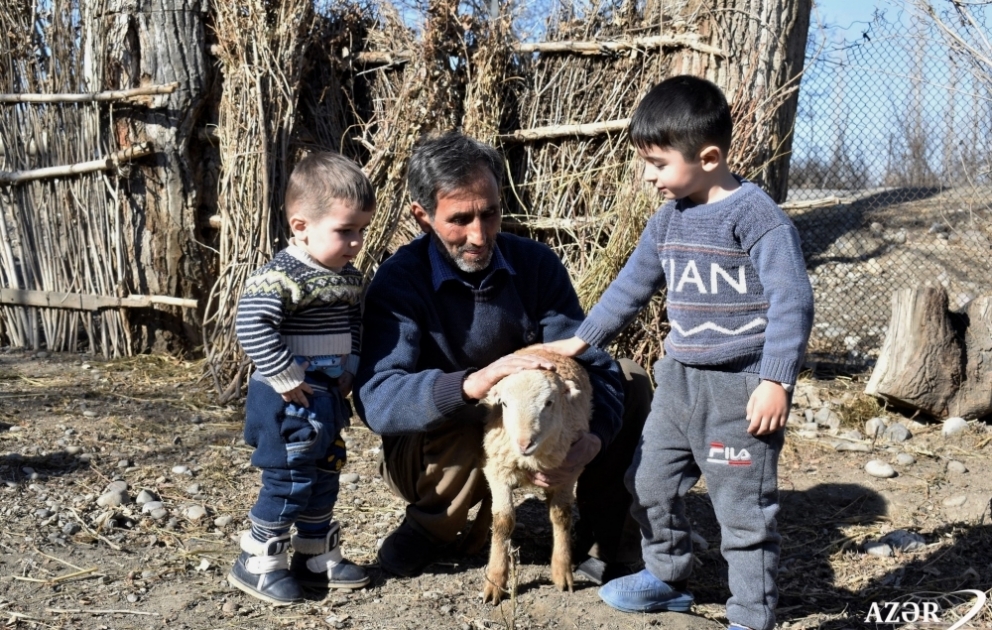 Ötən il Bərdə rayonunda 212 nəfər özünüməşğulluq proqramına cəlb edilib