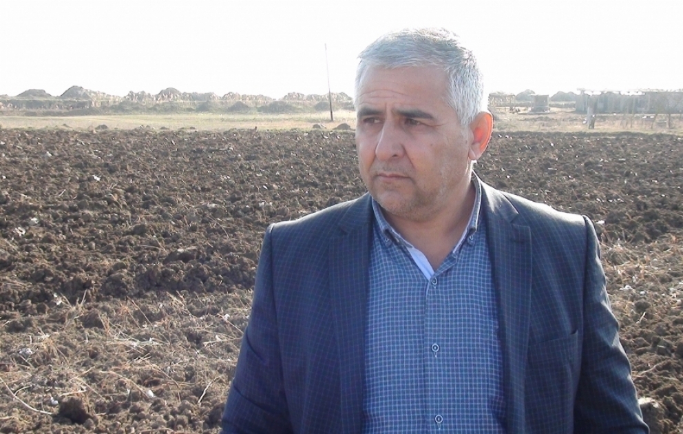 Biləsuvarda bu il 10 min hektar sahədə pambıq əkiləcək