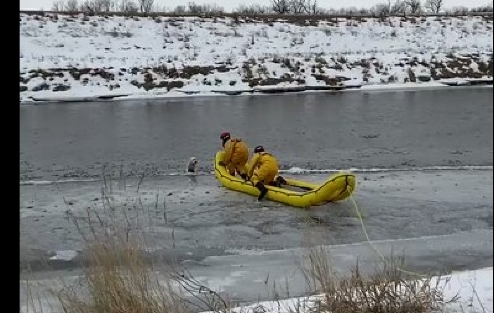 Firefighters take less than a minute to rescue dog from the icy Big Sioux River and reunite it with its owner at South Dakota's Sertoma Park