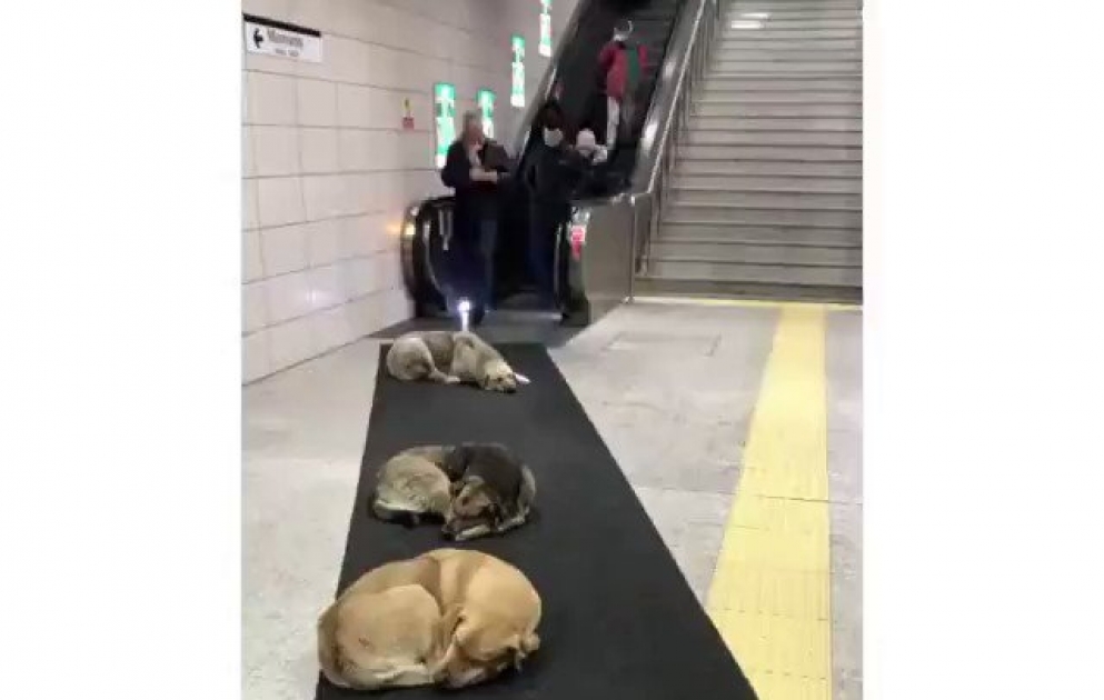 In istanbul: They feel safe everywhere
