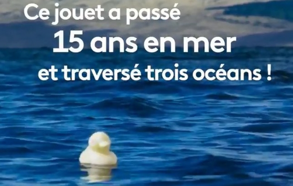 Planète Bleue : en haute mer