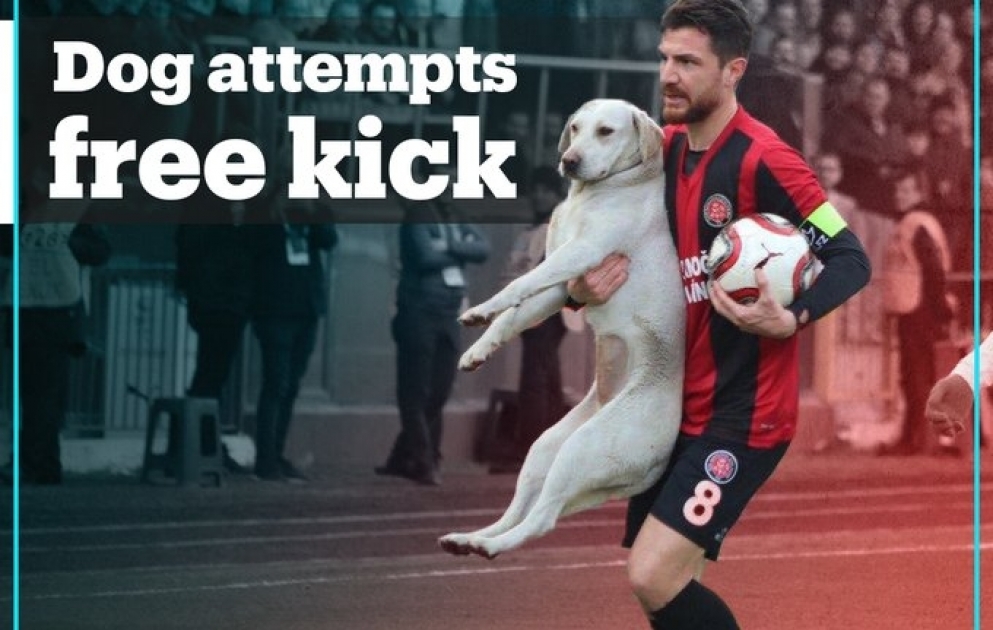 A dog was on a mission to show off its skills and take a free kick in the middle of a football match in Turkey’s Istanbul