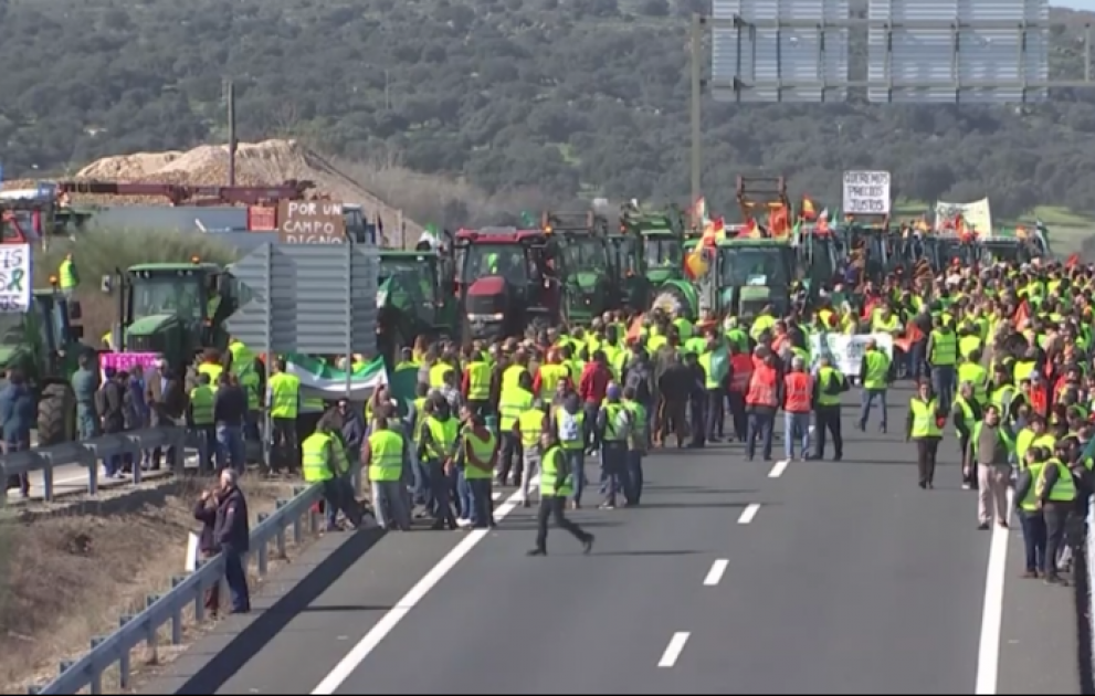 Spanien: Massenproteste von Landwirten in gelben Westen wegen zu niedriger Einnahmen