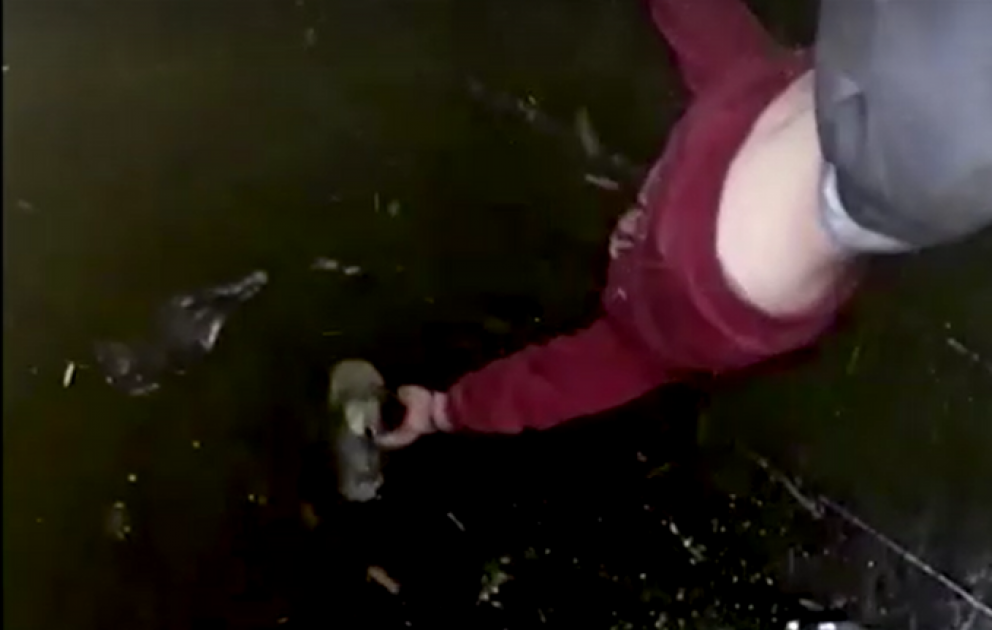 Boy dangles upside down to rescue puppy from oil well