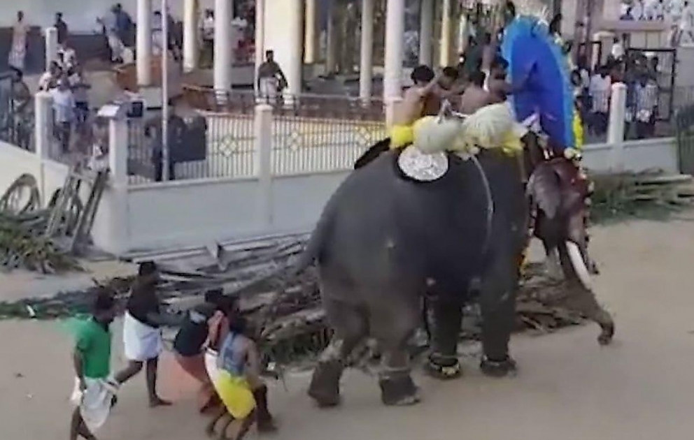 Elephant causes panic after running amok at south Indian festival