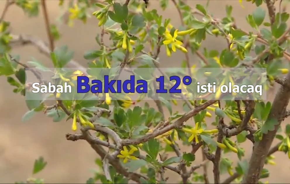 Novruz bayramının ilk günündə paytaxtda 12 dərəcə isti olacaq