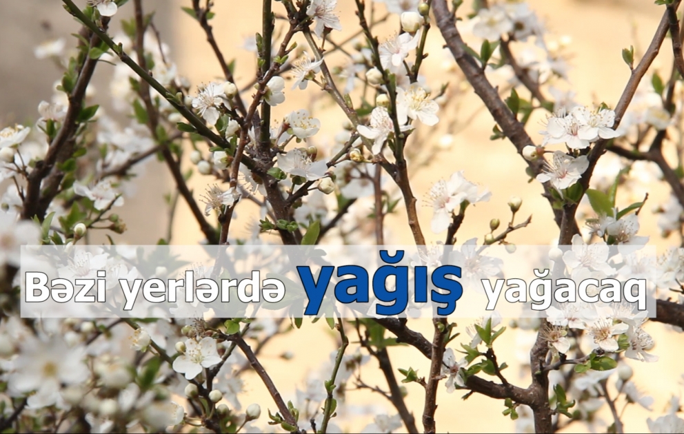Rayonlarda arabir yağış, dağlıq ərazilərdə qar yağacaq