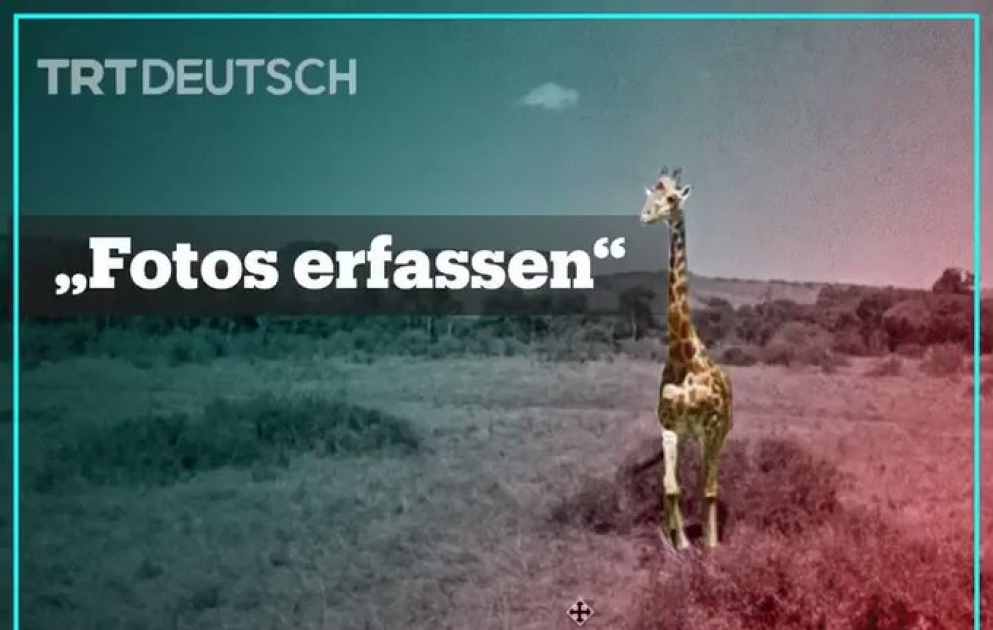Nicht einmal die Corona-Krise hält dieses Ehepaar davon ab, Fotos in aller Welt zu schießen
