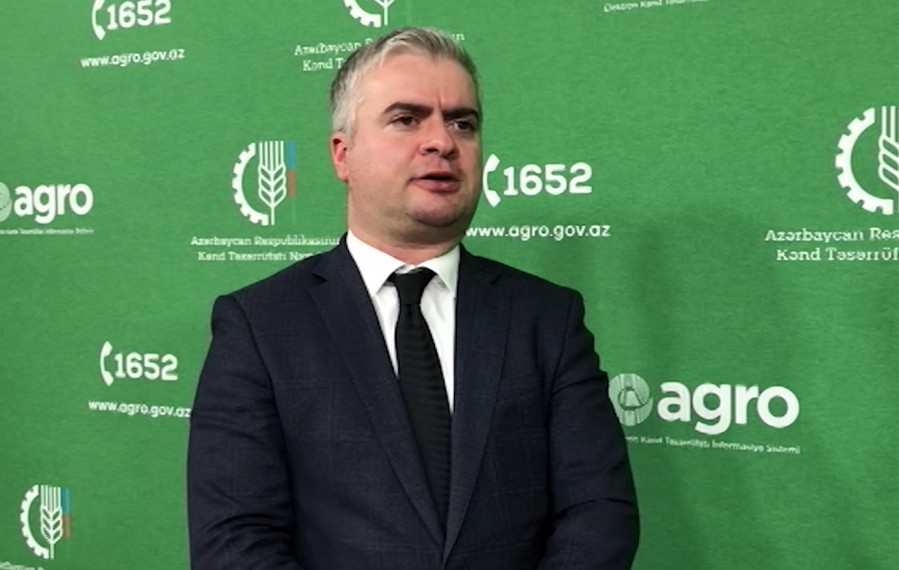 AKİA sədri: Yeni mexanizm fermerlərə 15 min manatadək girovsuz kredit verilməsinə imkan yaradır