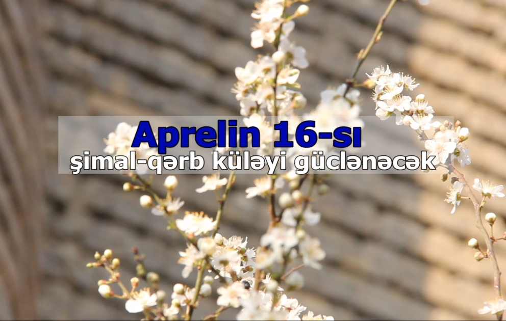 Sabah güclü külək əsəcək  XƏBƏRDARLIQ