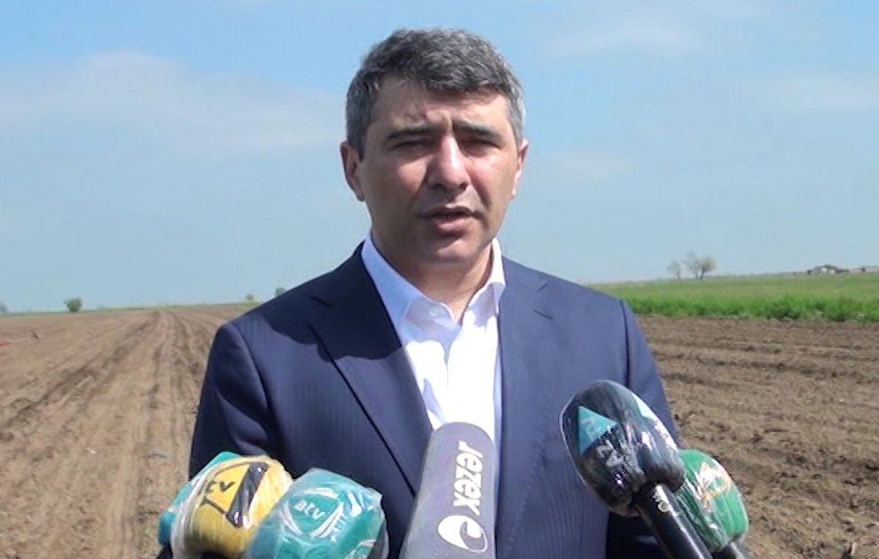 Fermerlərə girovsuz şərtlərlə mikrokreditlərin verilməsi yaxın günlərdə icra olunacaq