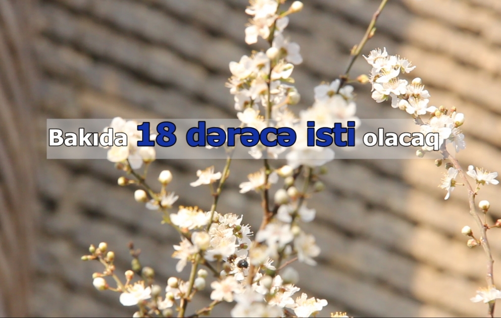 Bakıda 18 dərəcə isti olacaq
