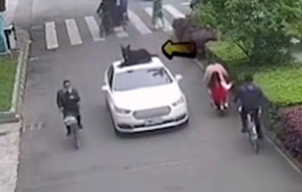 Из-за отсутствия места в салоне китаец прокатил собаку на крыше автомобиля