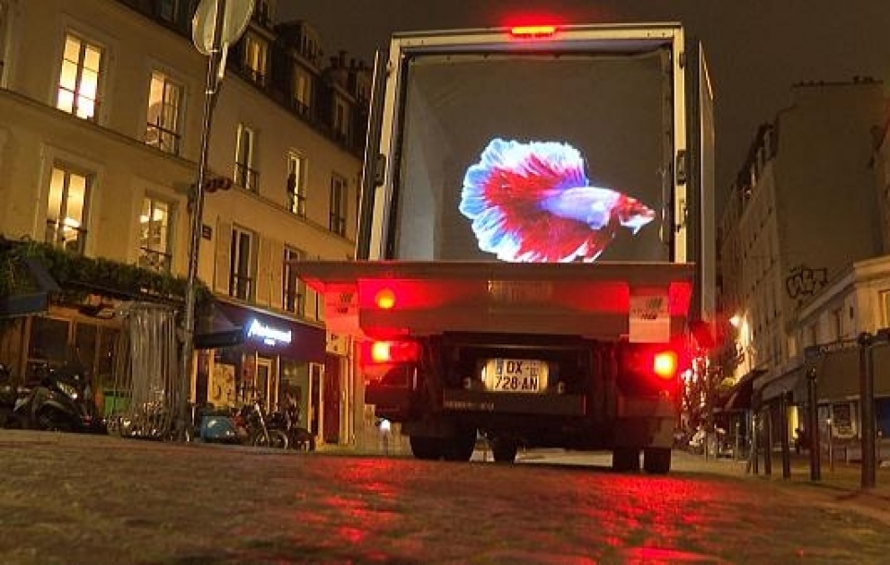 Tier-Hologramme muntern Menschen auf - in der Ausgangssperre in Paris