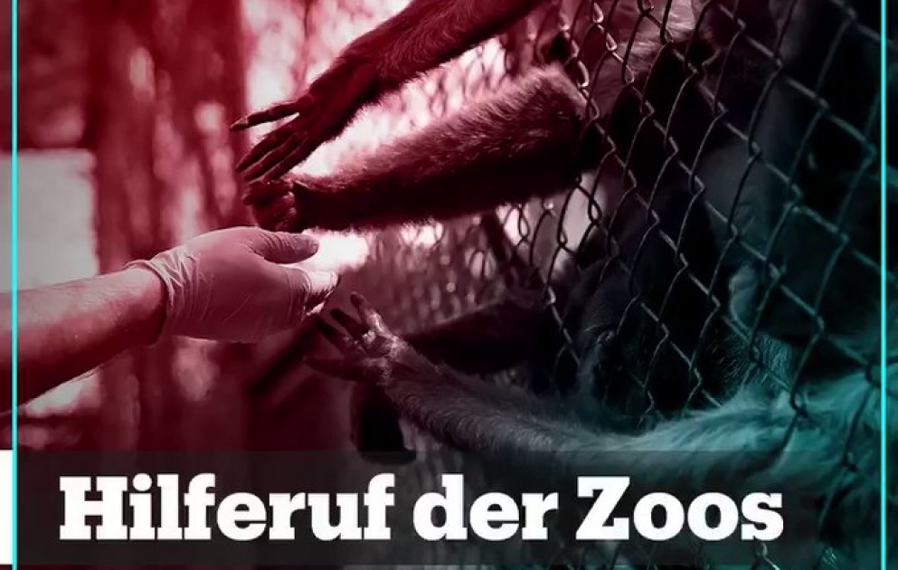 Hilferuf der Zoos