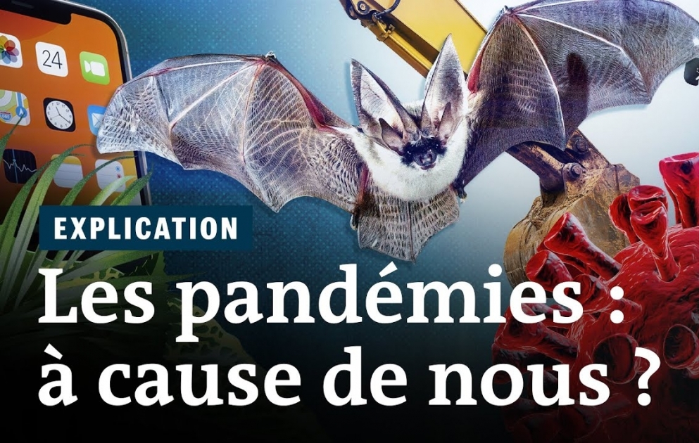 Comment l’humanité déclenche des pandémies