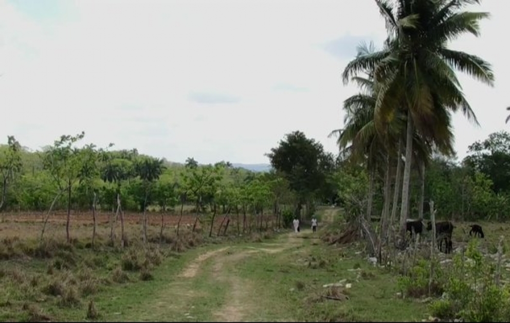 A Cuba, des médecins font du porte-à-porte pour tenter de contrôler l'épidémie.
