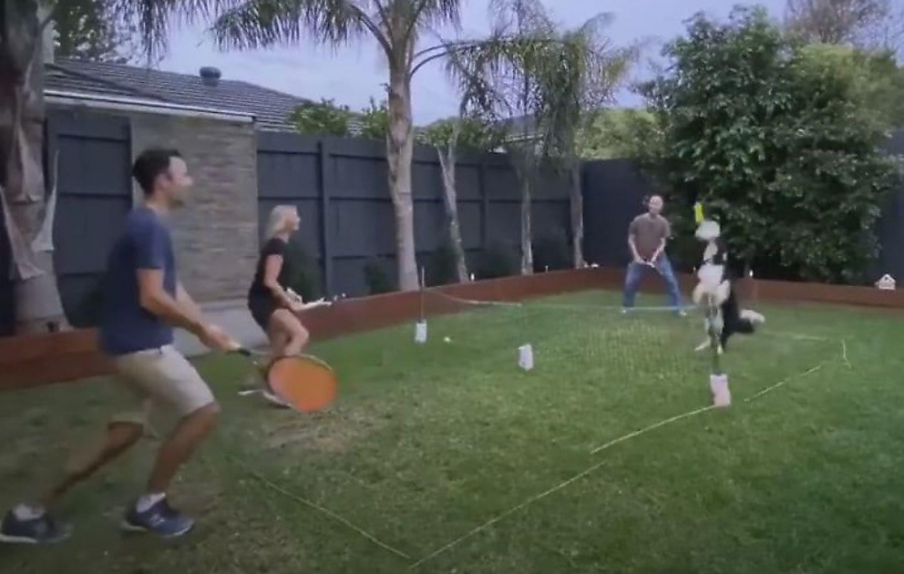 Köpək tennisdə sahiblərinə master-klass göstərdi