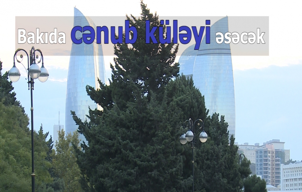Bakıda cənub küləyi əsəcək