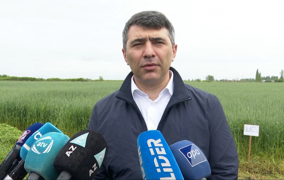 İnam Kərimov: Bu il 125 ədəd taxılbiçən kombaynın alınması nəzərdə tutulur