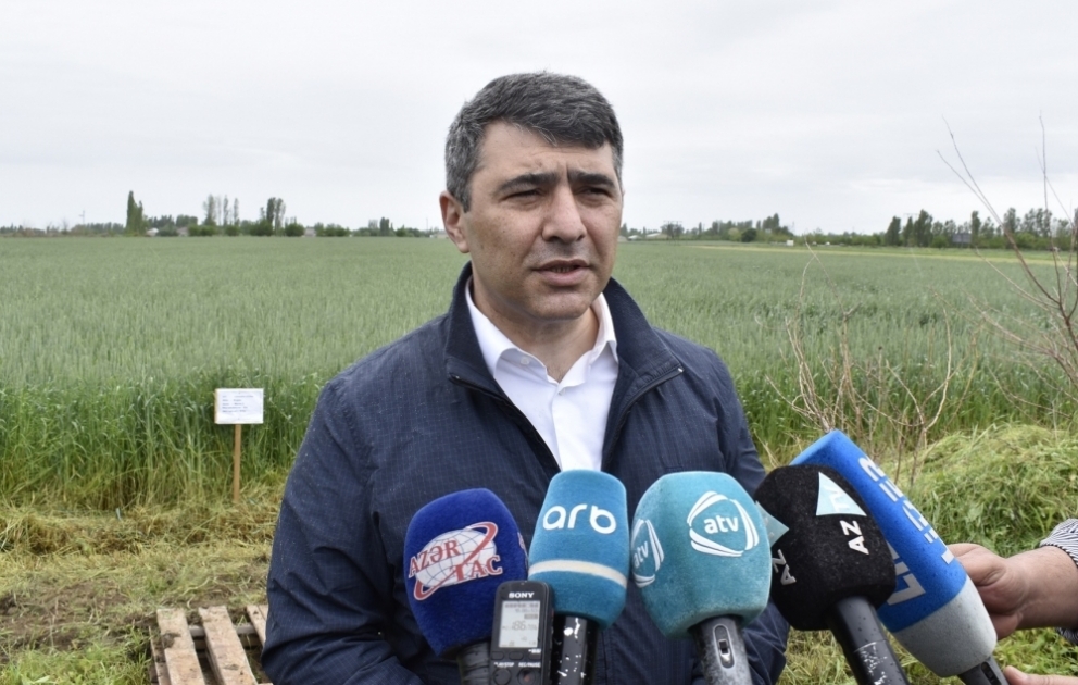 İnam Kərimov: Ərzaq məhsullarının daşınmasında heç bir problem yoxdur