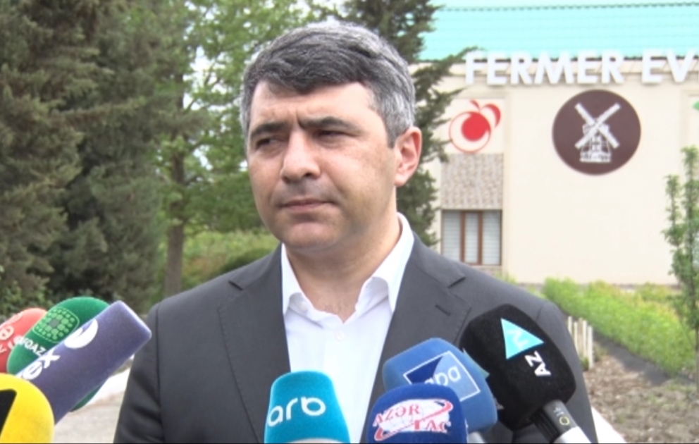 Məhsulların həm daxili, həm də xarici bazarlara çatdırılmasında heç bir problem yoxdur