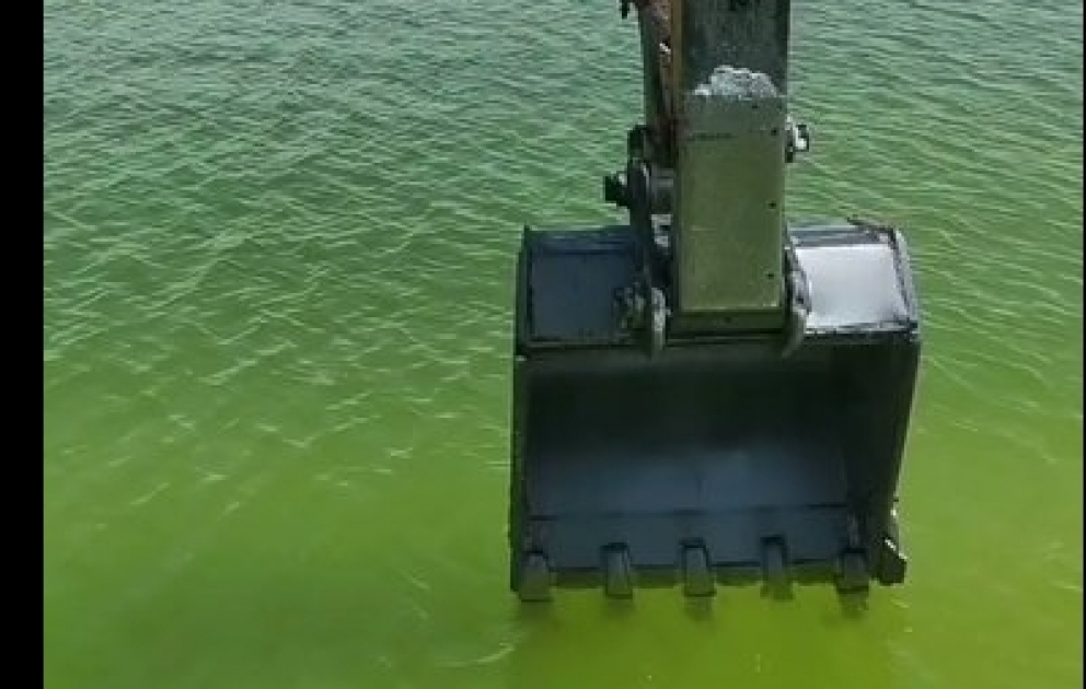 Watch how salt is mined from a lake in northwest China's Qinghai