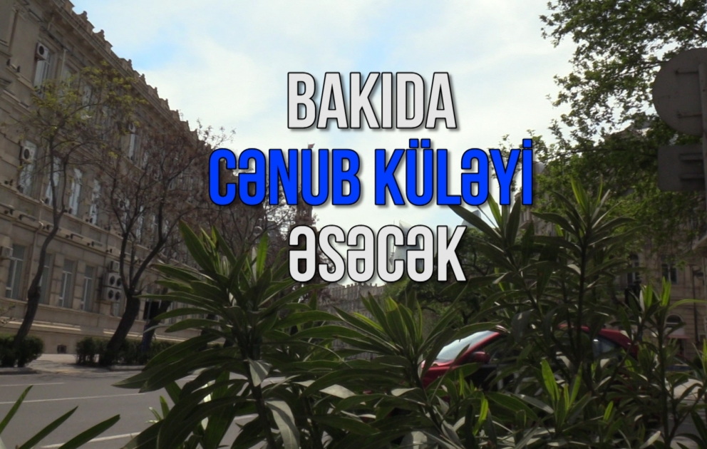 Bakıda cənub küləyi əsəcək