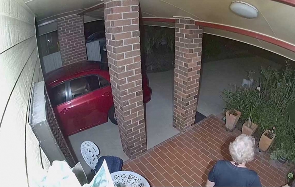 Small Dog Chases Off Burglars