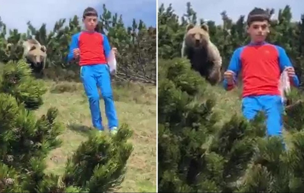 Boy in Italy stays calm as brown bear emerges from bush just metres away from him