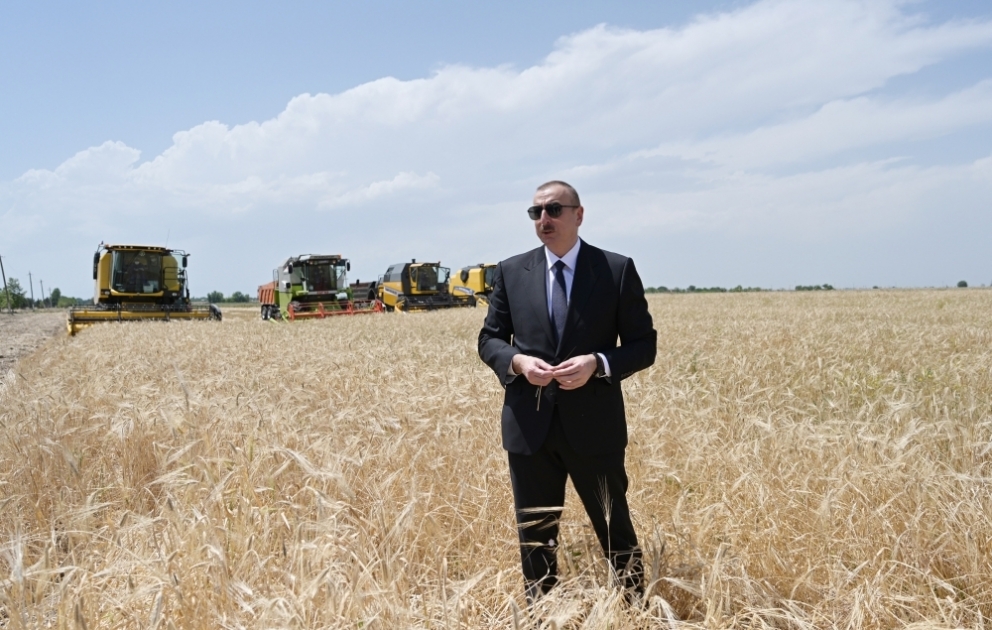 Präsident Ilham Aliyev macht sich mit Verlauf der Getreideernte in Aghjabadi vertraut