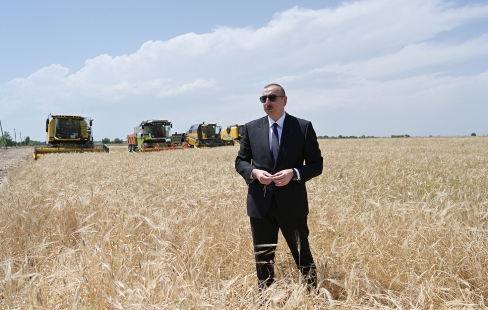 President Ilham Aliyev attended ceremony to start grain harvest in Aghjabadi