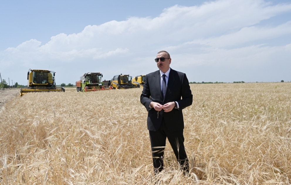 Aghdjabédi: la moisson de blé lancée en présence du président ilham Aliyev