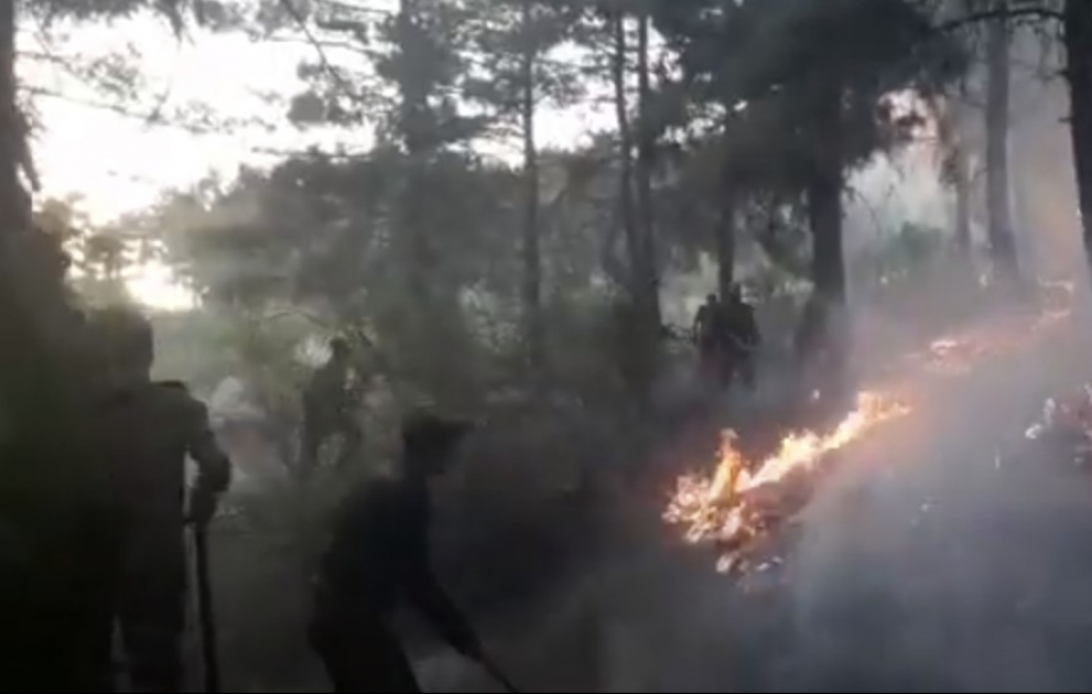 Ağsuda baş verən yanğının qarşısı alınıb