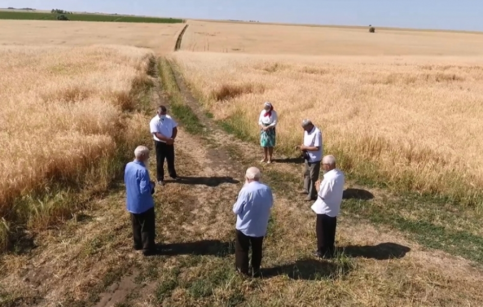 Une tradition multiséculaire : la récolte de blé est précédée de rites religieux à Ivanovka