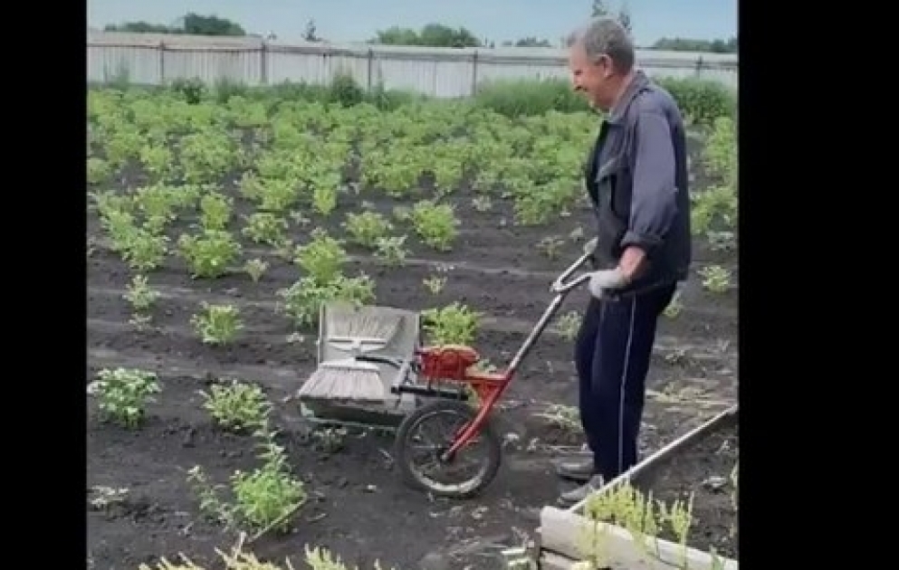 Отлов жуков