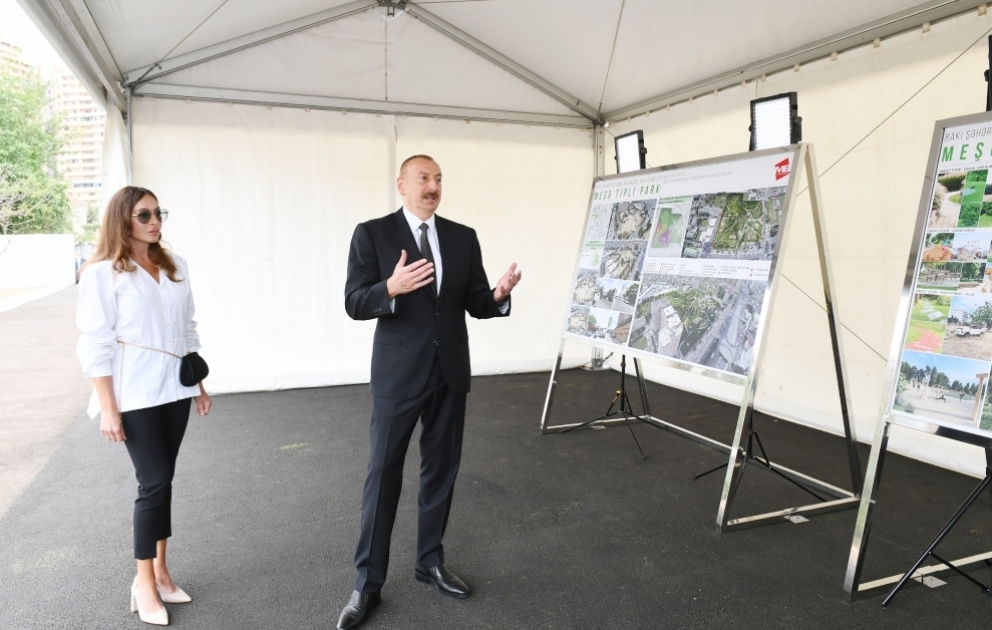 President Ilham Aliyev viewed works to be done in new forest type park in Yasamal district