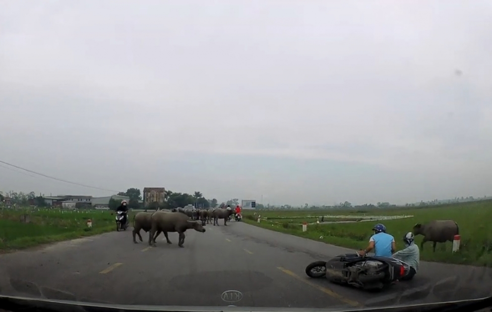 Buffalo Barrels Motorcycle Riders Over