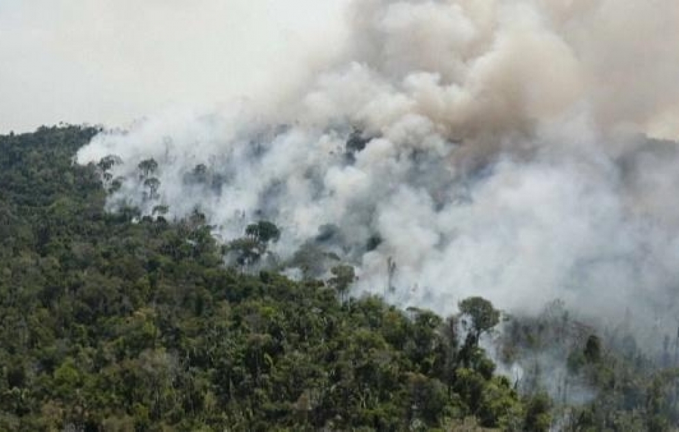 Intentional fires are destroying the Amazon rainforest